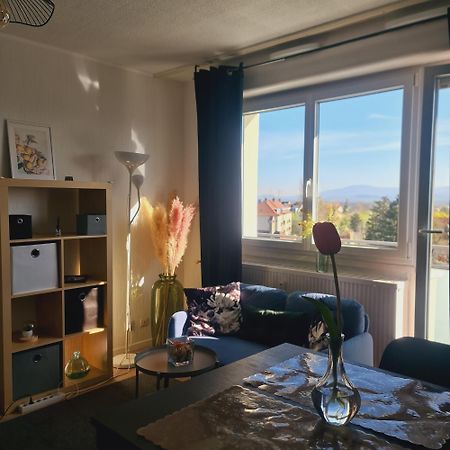 Studio Kaan Avec Terasse 5Mn Basel Airport Saint-Louis  Exteriör bild