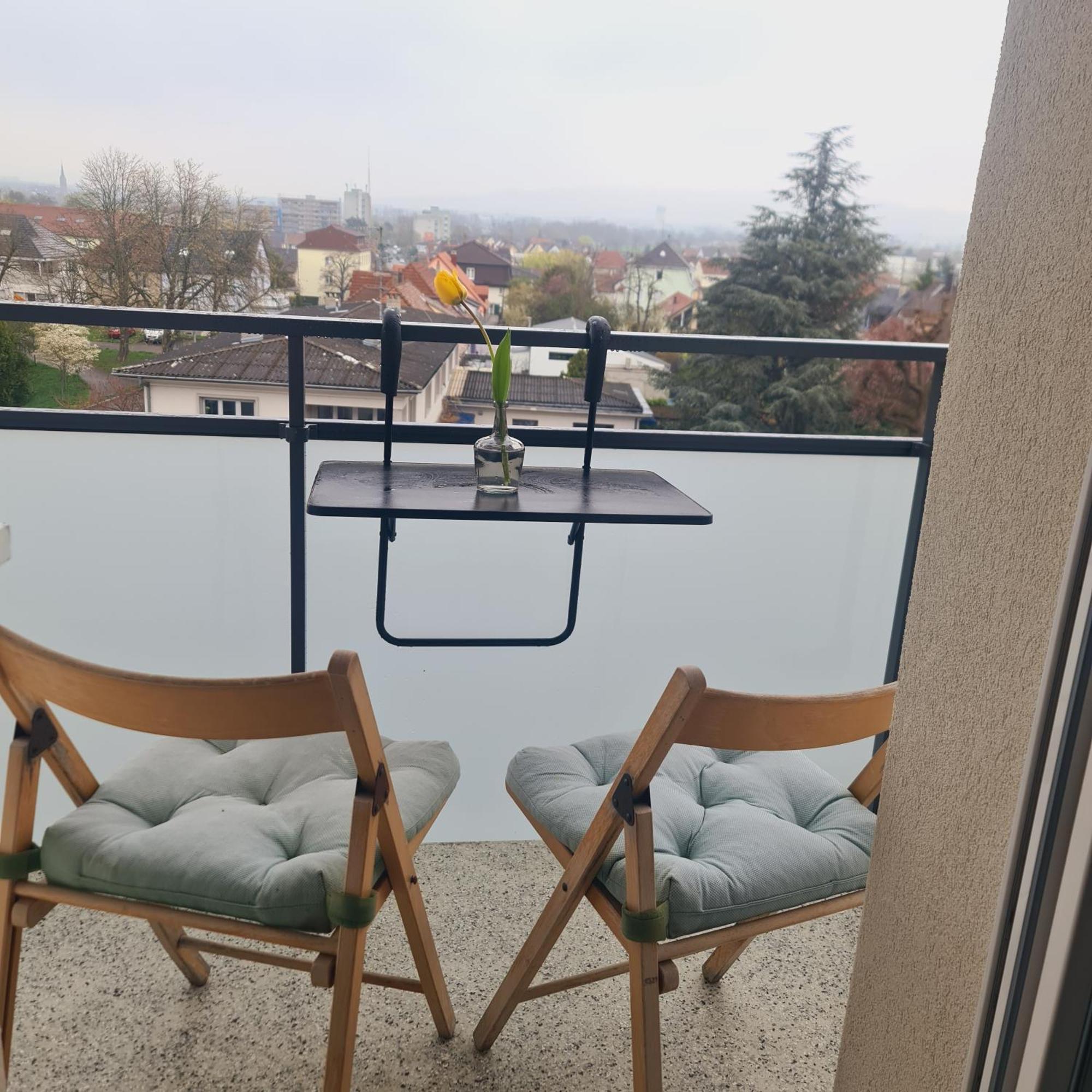Studio Kaan Avec Terasse 5Mn Basel Airport Saint-Louis  Exteriör bild